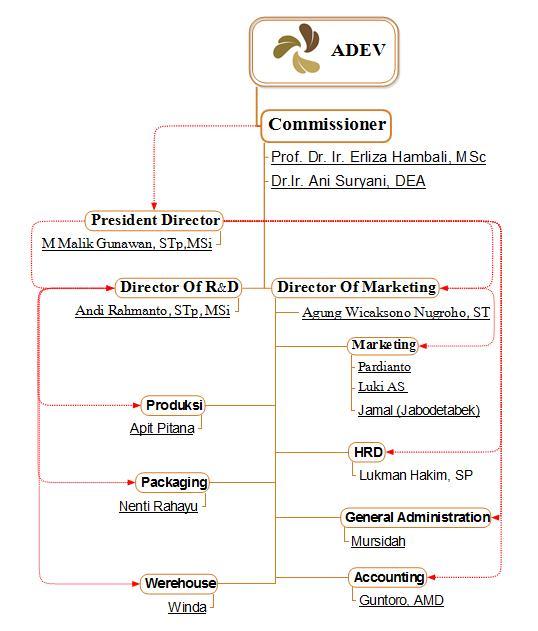 Struktur Organisasi ADEV Natural Indonesia